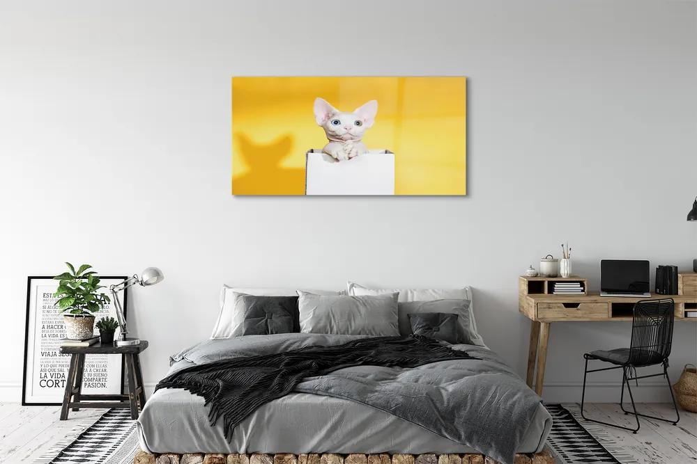 Obraz na akrylátovom skle Sediaci mačka 125x50 cm