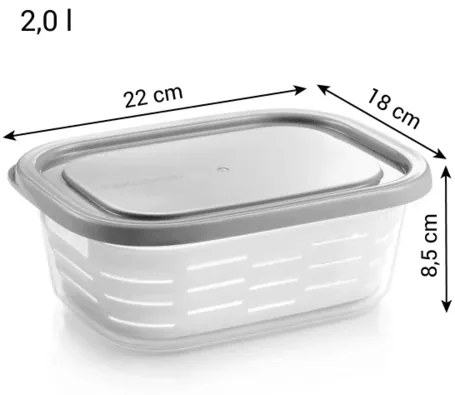 Tescoma Dóza do mrazničky s košíkom 4FOOD 2,0 l, 2 l