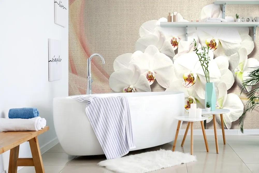 Samolepiaca tapeta biela orchidea na plátne - 375x250
