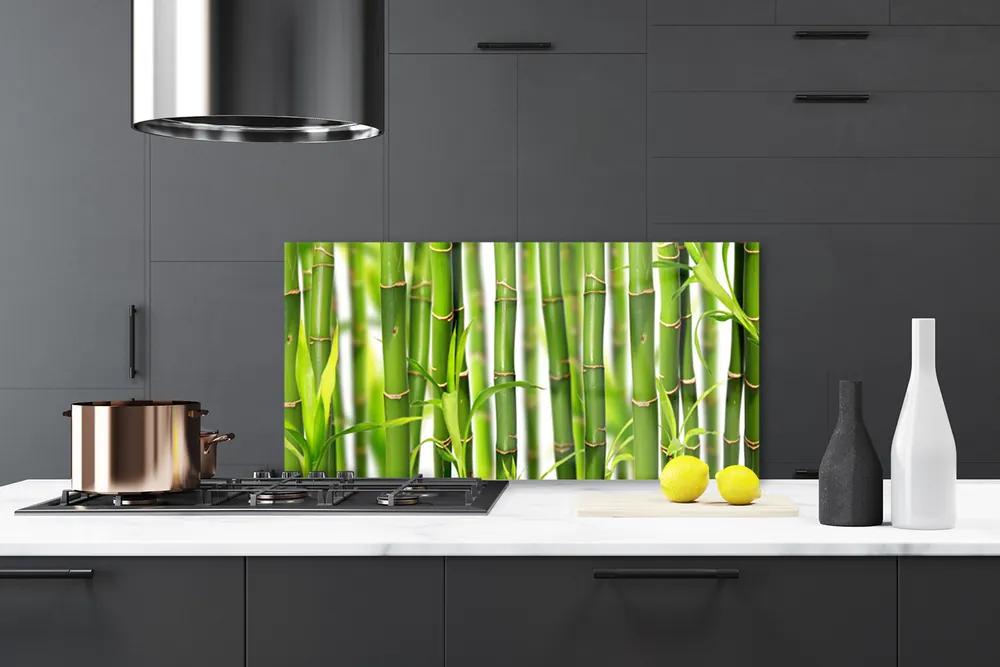 Sklenený obklad Do kuchyne Bambusové výhonky listy bambus 100x50 cm