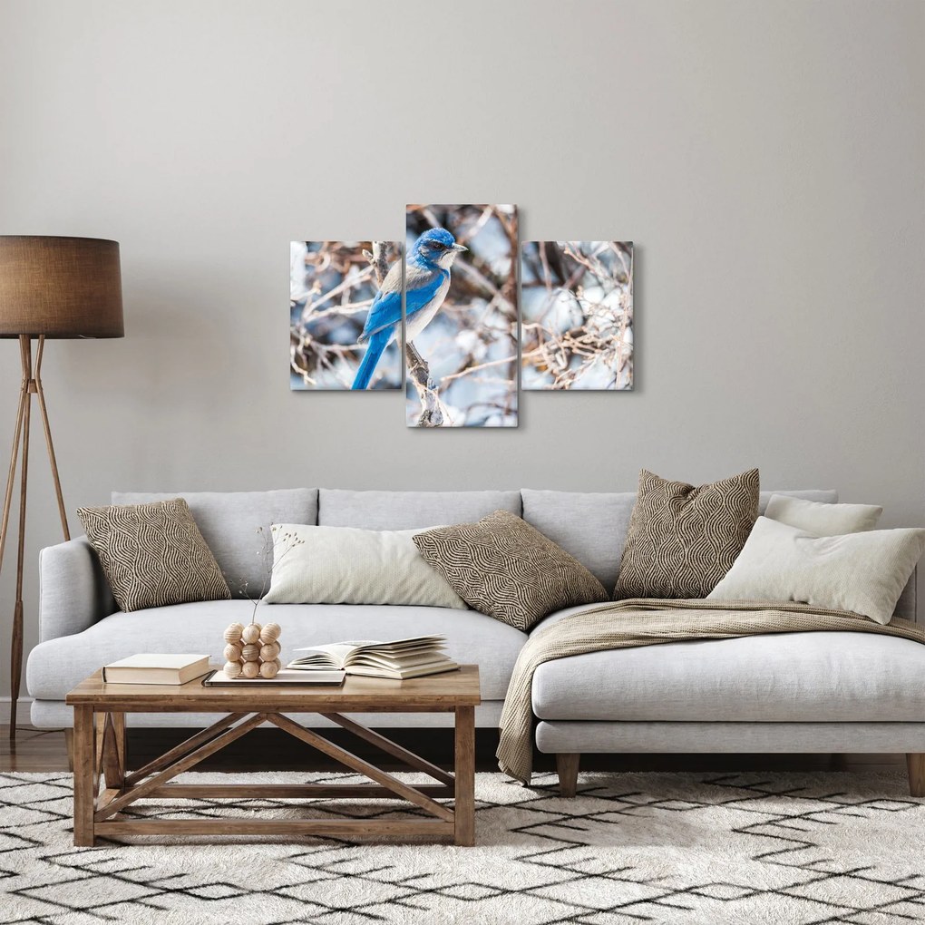 Obraz - Zimný vtáčik (90x60 cm)