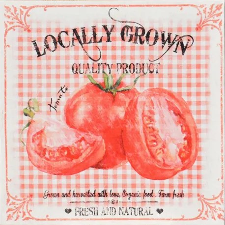 Obraz tlačený na plátne 28x28 PRC913