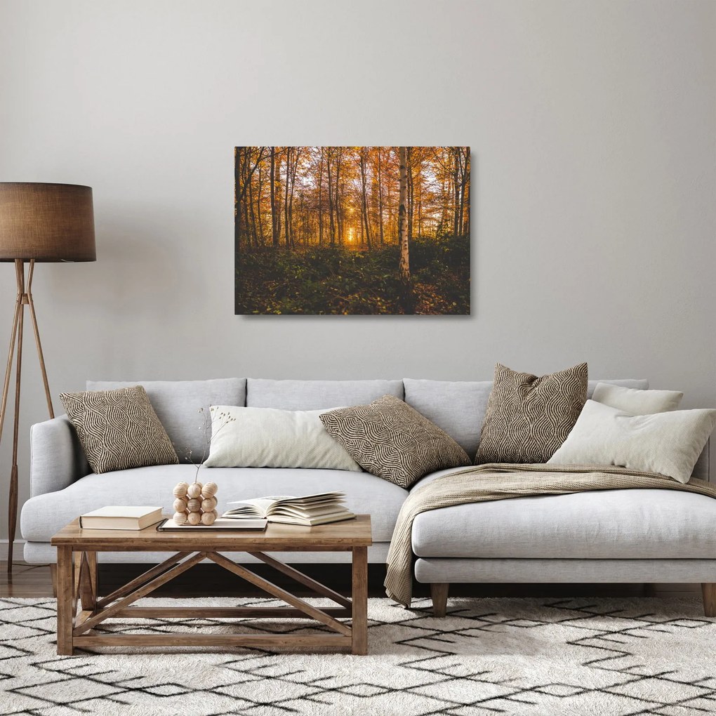 Sklenený obraz jesenného lesa (70x50 cm)