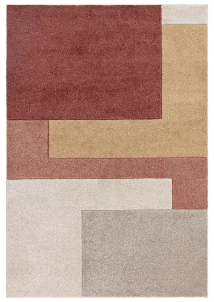 Koberec v tehlovej farbe 120x170 cm Sketch – Asiatic Carpets