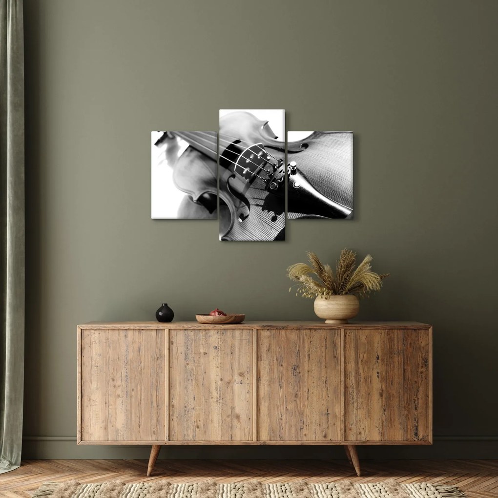 Obraz - Husle (90x60 cm)