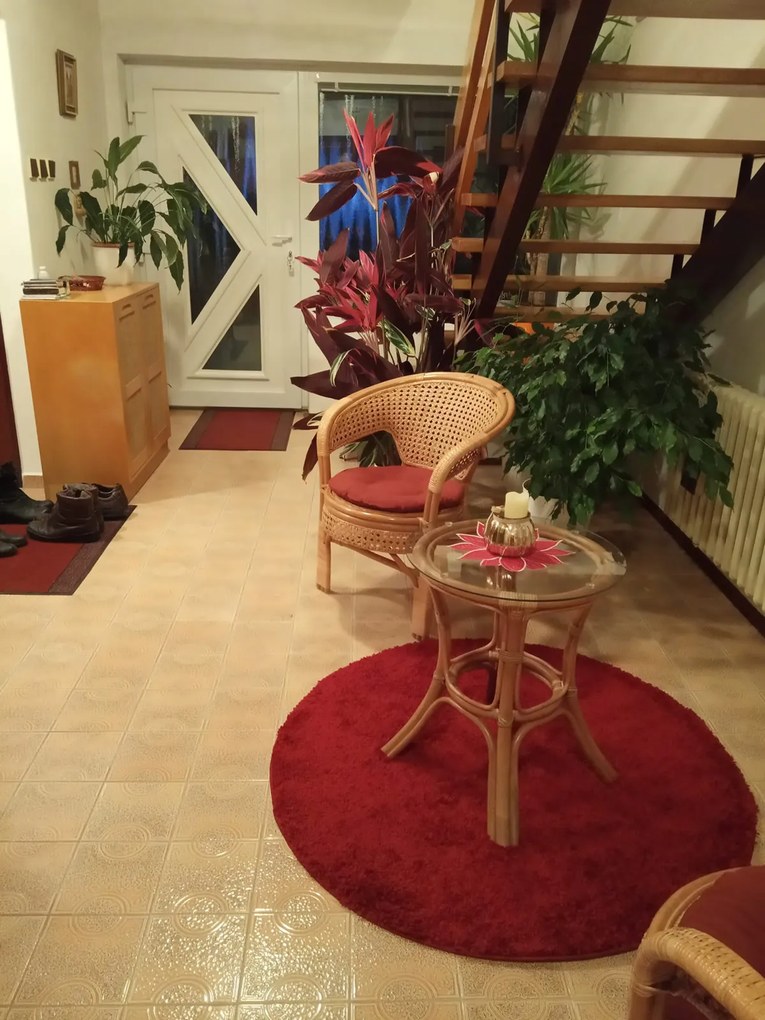 Ayyildiz, Kusový koberec Life Shaggy 1500 red kruh, 200x200 (priemer) kruh, červená, obývacia izba