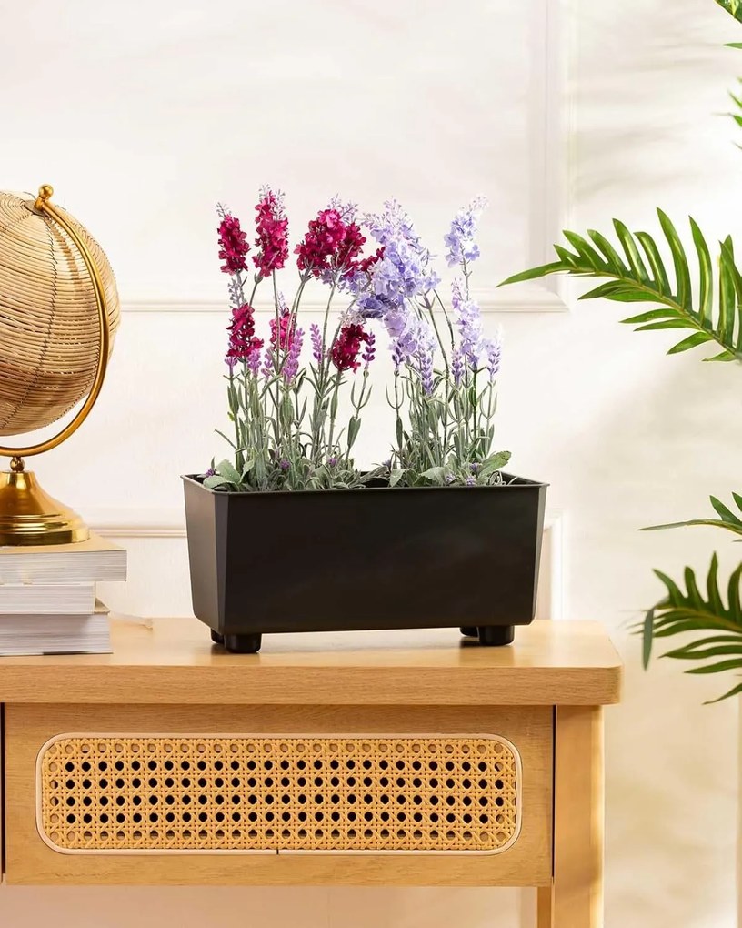 Truhlík s nožičkami Salvia 28,5x17 cm - výber z 9 prevedení