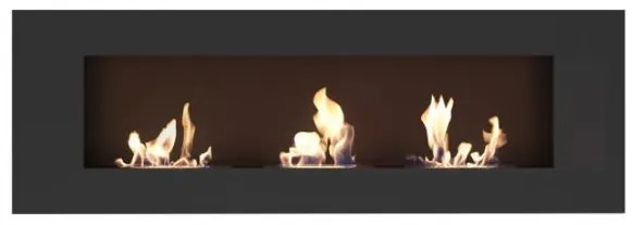 Biokrb na stenu Delta 3