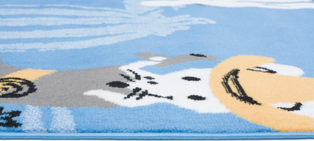 TA Koberec DZ05C BLUE JOLLY FYD Rozmer: 80x150 cm