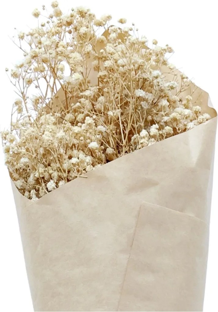 Dekorácia sušená kvetina Baby's Breath Flowers - 77 cm