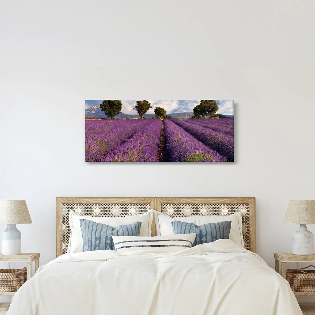 Obraz - Levanduľové pole a hory (120x50 cm)