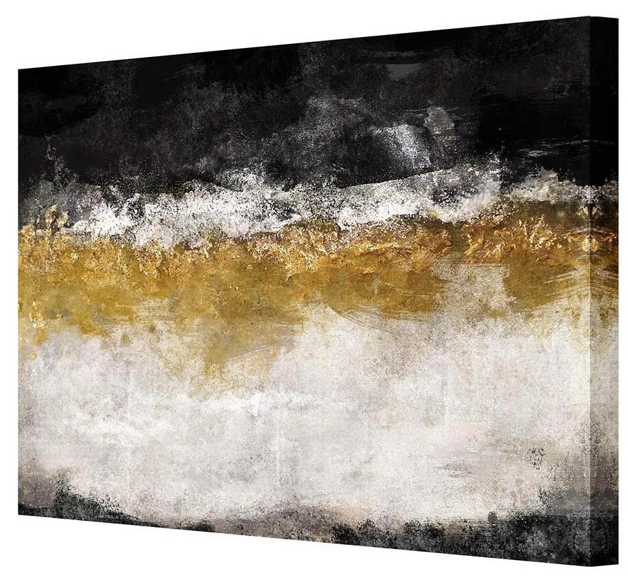 Obraz na plátne Black&Gold Impression