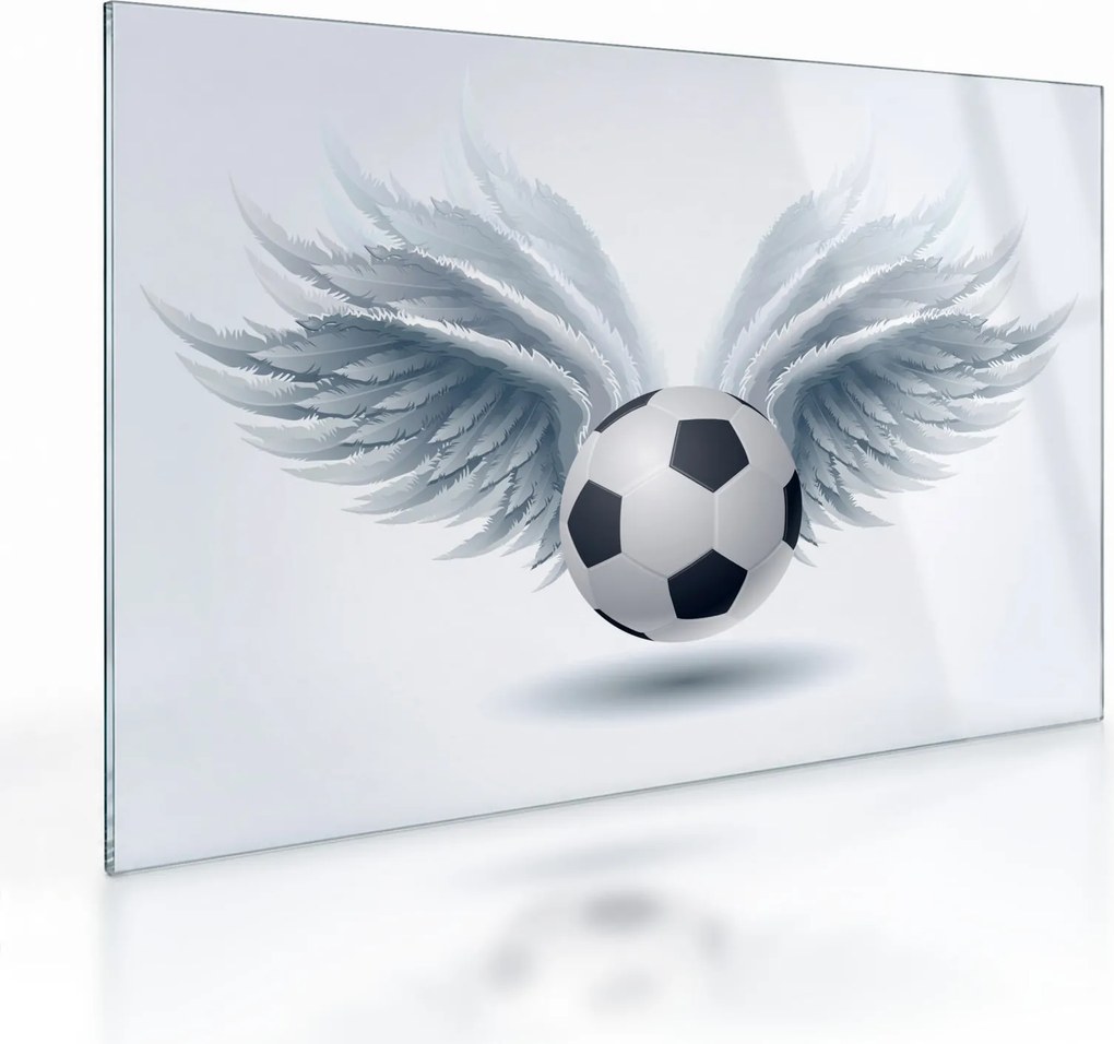 Sklenený obraz - Balón s krídlami (70x50 cm)
