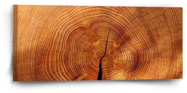 Sablio Obraz Drevo 2 - 110x50 cm