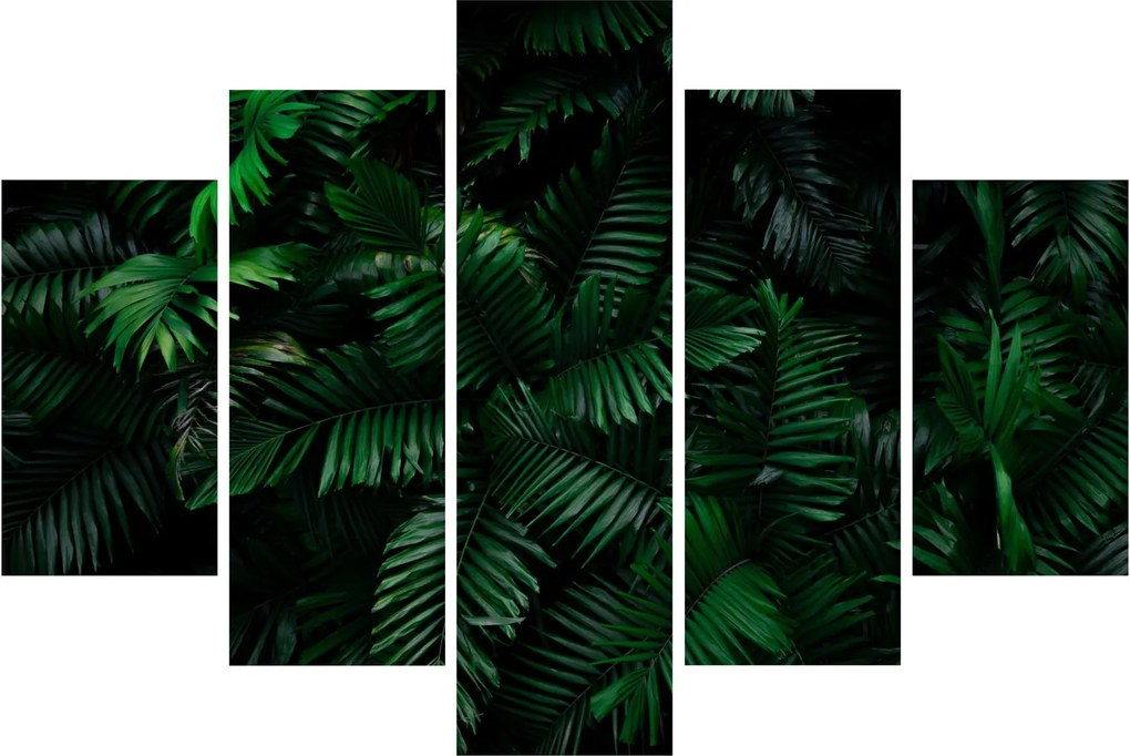 Obraz - Tropické papradie (150x105 cm)