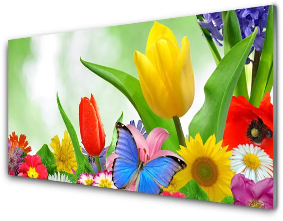 Obraz plexi Motýľ kvety príroda 100x50 cm