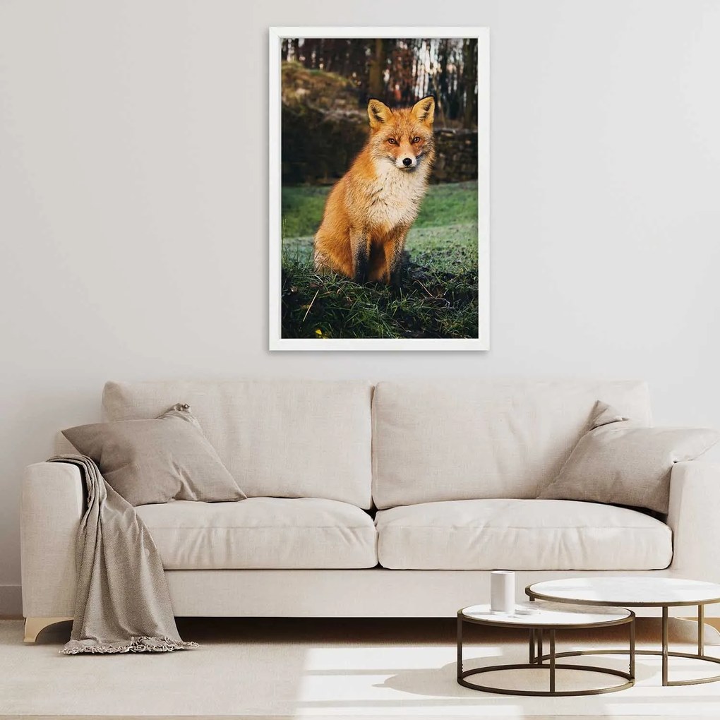Gario Plagát Líška v lese Farba rámu: Bez rámu, Rozmery: 40 x 60 cm