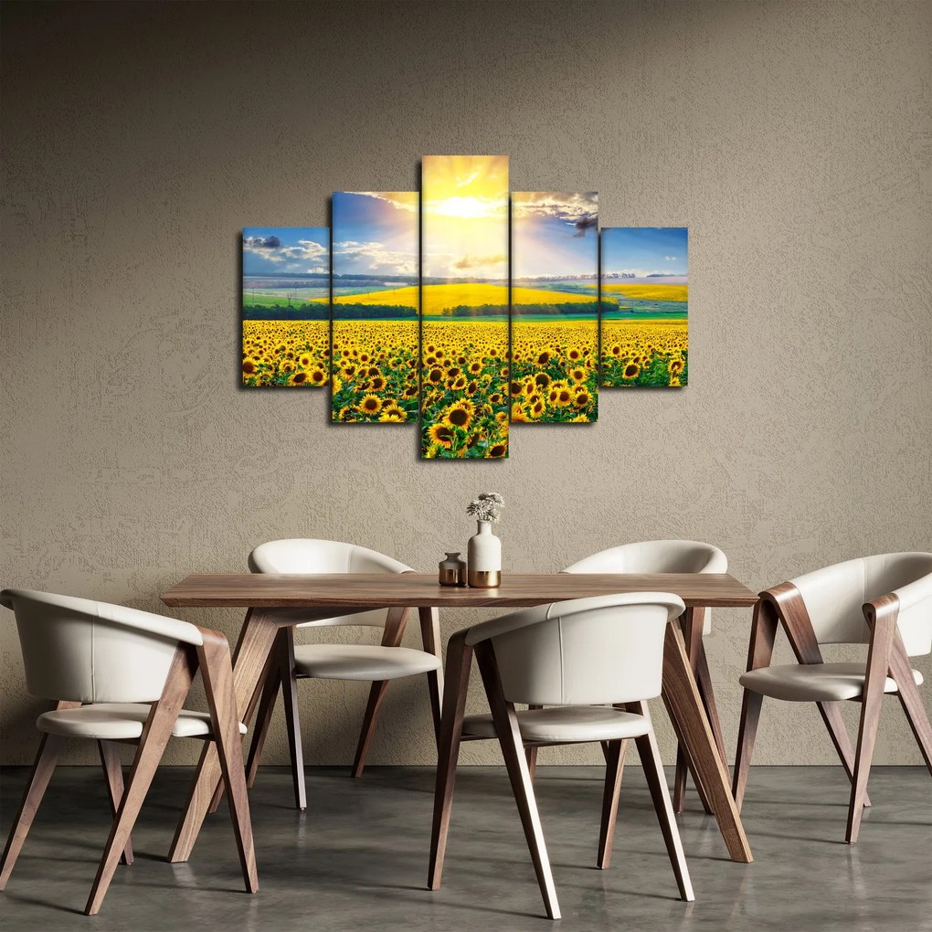 Obraz - Pole slnečníc (150x105 cm)