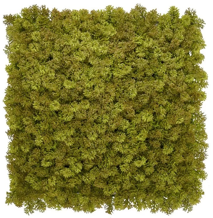 Umelý rastlinný panel KATE MOSS 50 x 50 cm - Panel 50x50 Europe Grass