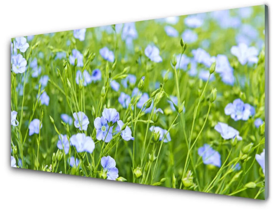 Obraz na akrylátovom skle Kvety tráva rastlina príroda 120x60 cm