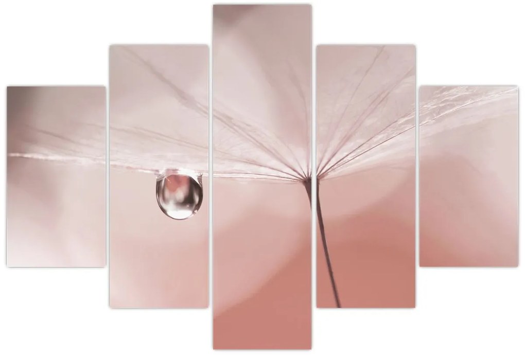 Obraz - Kvapka rosy (150x105 cm)