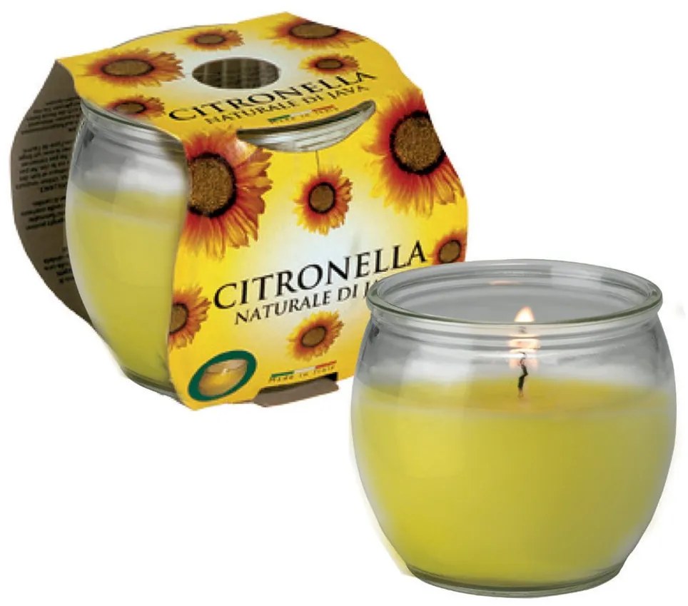 Petali Citronella vonná svíčka ve skle 6ks - hoření 25h