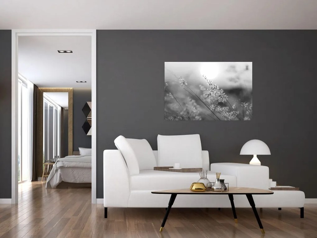 Obraz - Jesenná lúka (90x60 cm)