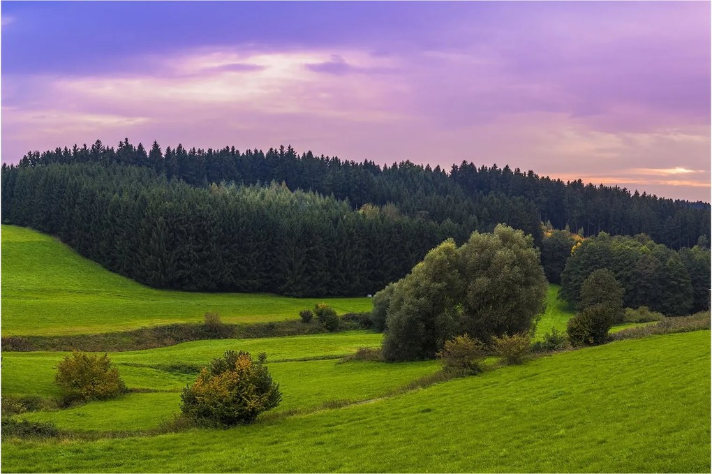 Obraz lúky (90x60 cm)