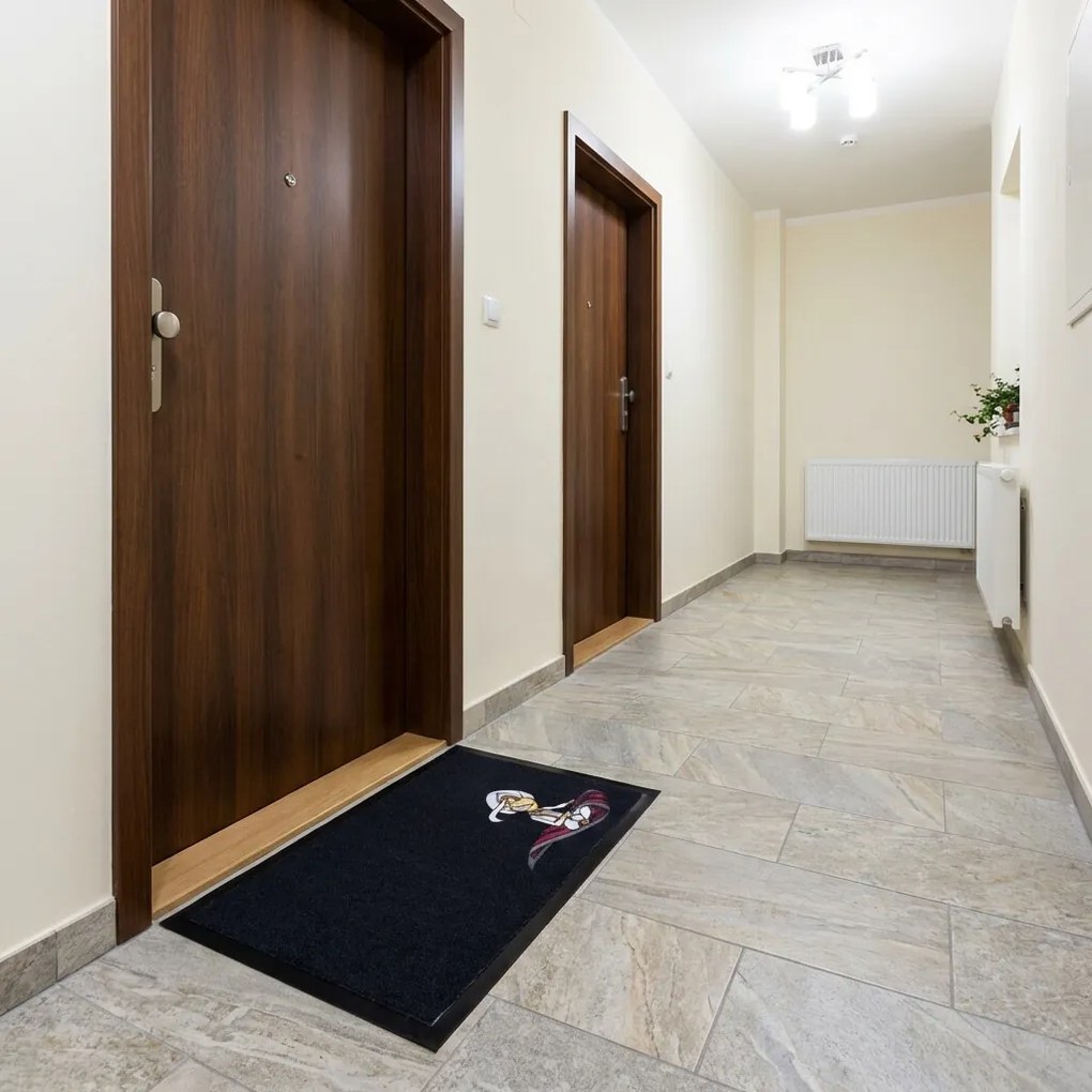 Mercury Flooring, Rohožka Aladin a lietajúci koberec 40x60 cm, 40x60, čierna