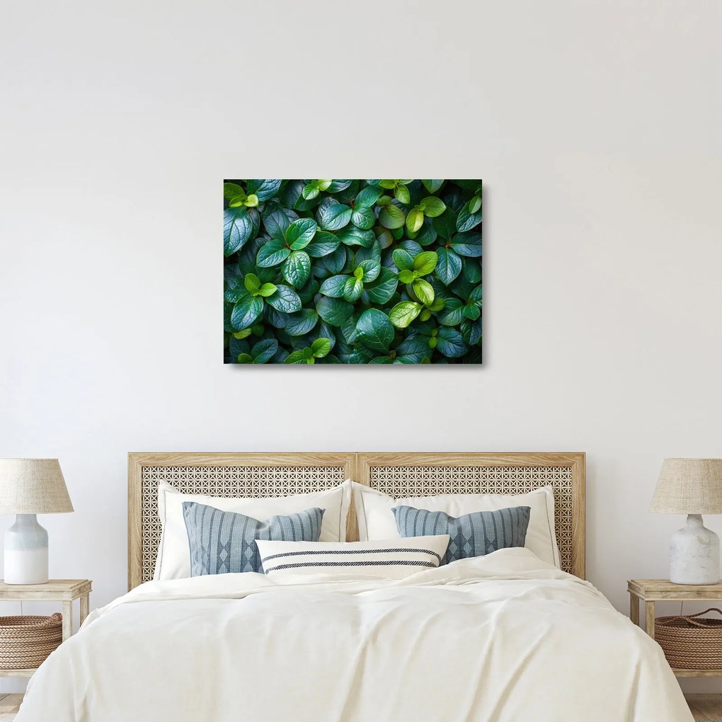 Sklenený obraz - Zelené rastliny (70x50 cm)
