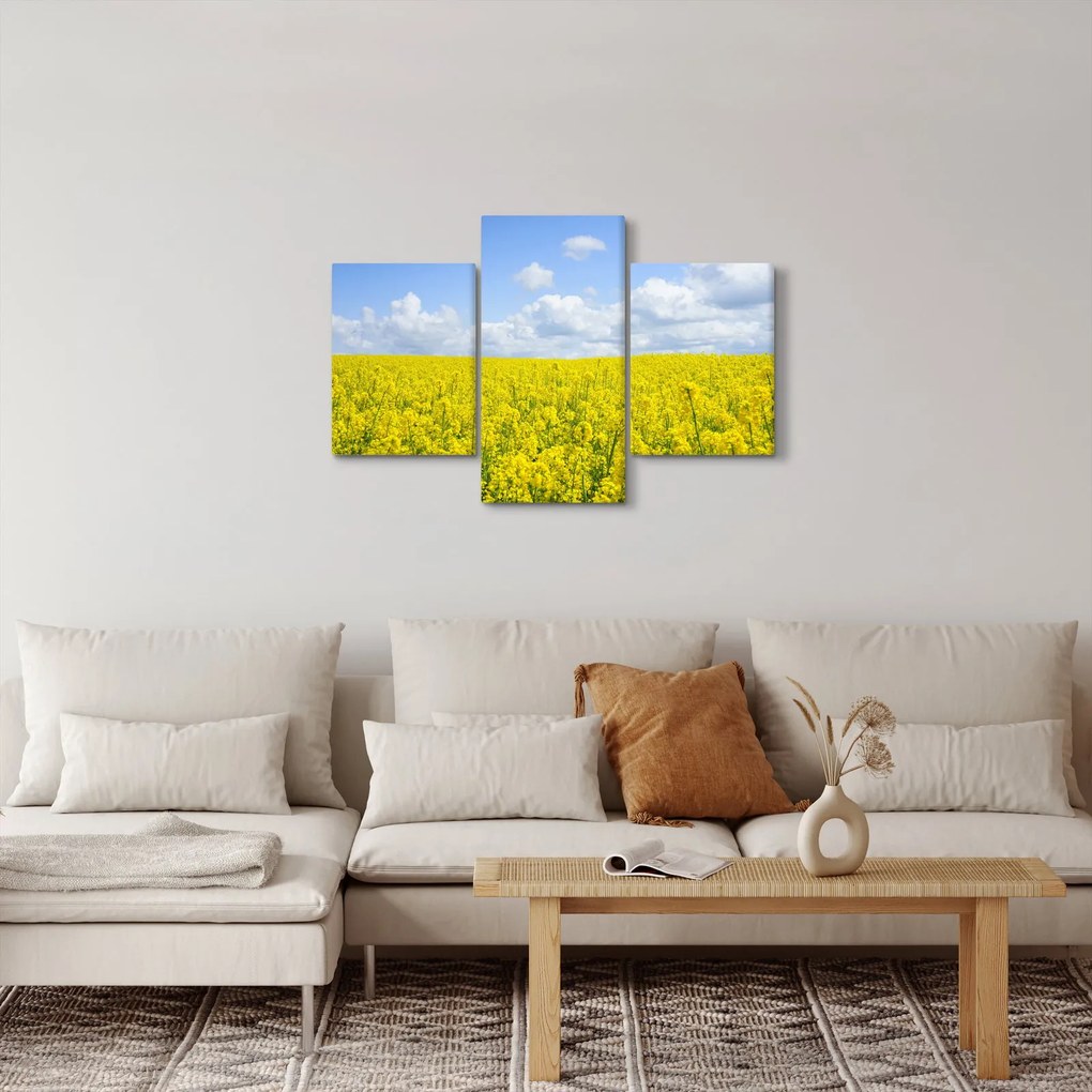 Obraz žltého poľa (90x60 cm)