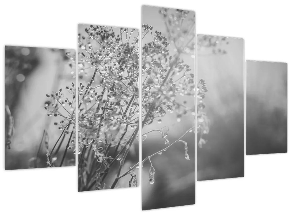 Obraz - Lúka po daždi (150x105 cm)