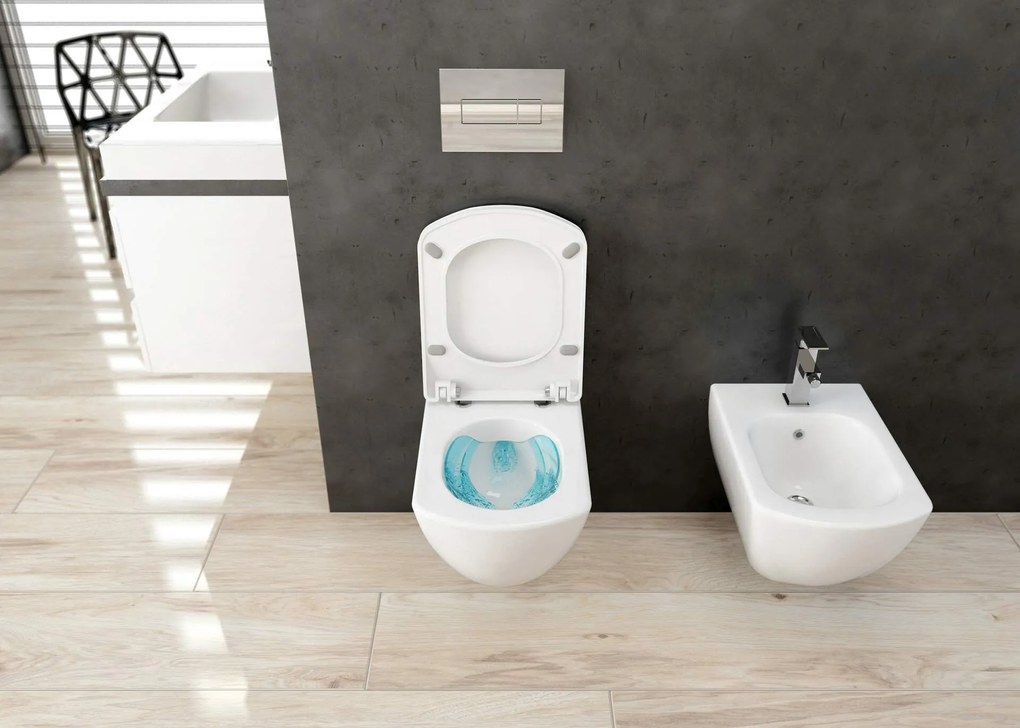 Deante Anemon, závesný bidet  52 x 37 cm Rimfree, biela, CDZ_6BPW