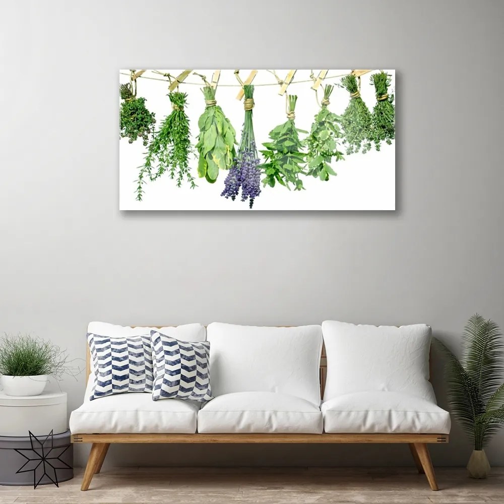 Obraz plexi Plátky kvety byliny 100x50 cm