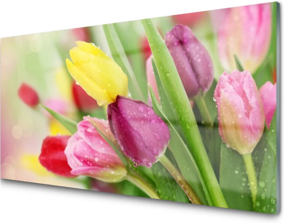 Akrylové obraz Tulipány květiny rostlina