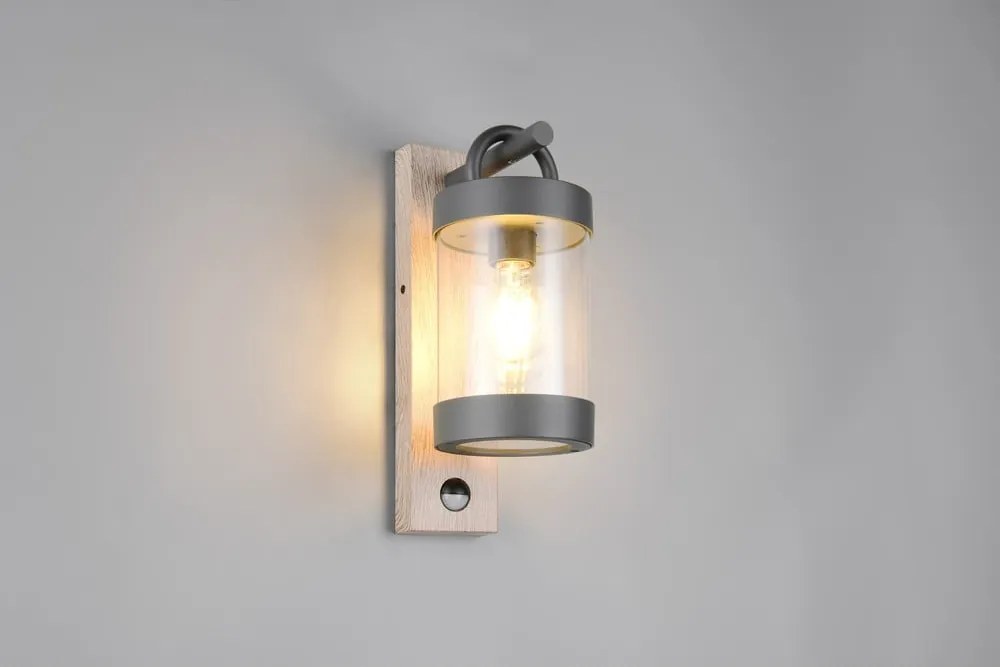 Nástenné vonkajšie svietidlo (výška 33 cm) Sambesi – Trio