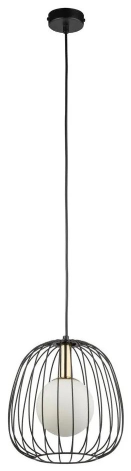 Luster na lanku BELL 1xG9/12W/230V pr. 24 cm čierna/zlatá