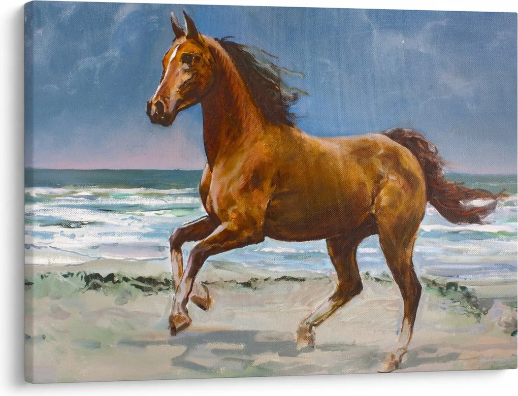 Obraz koňa na pláži (70x50 cm)