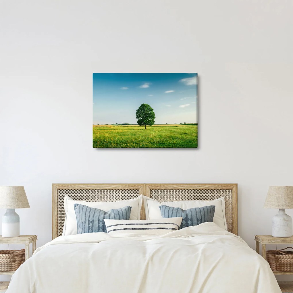 Obraz stromu na lúke (70x50 cm)