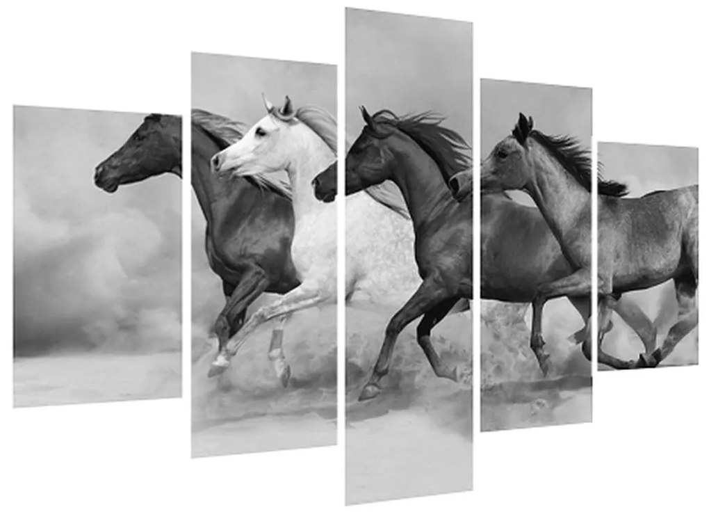 Čiernobiely obraz koní (150x105 cm)