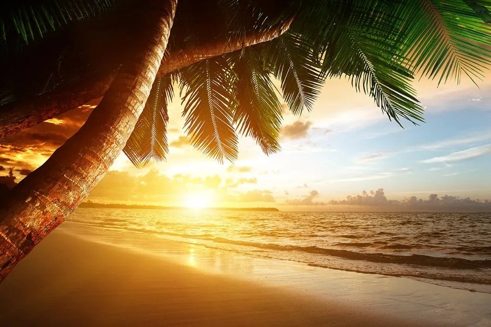 Fototapeta východ slnka na karibskej pláži - 225x150