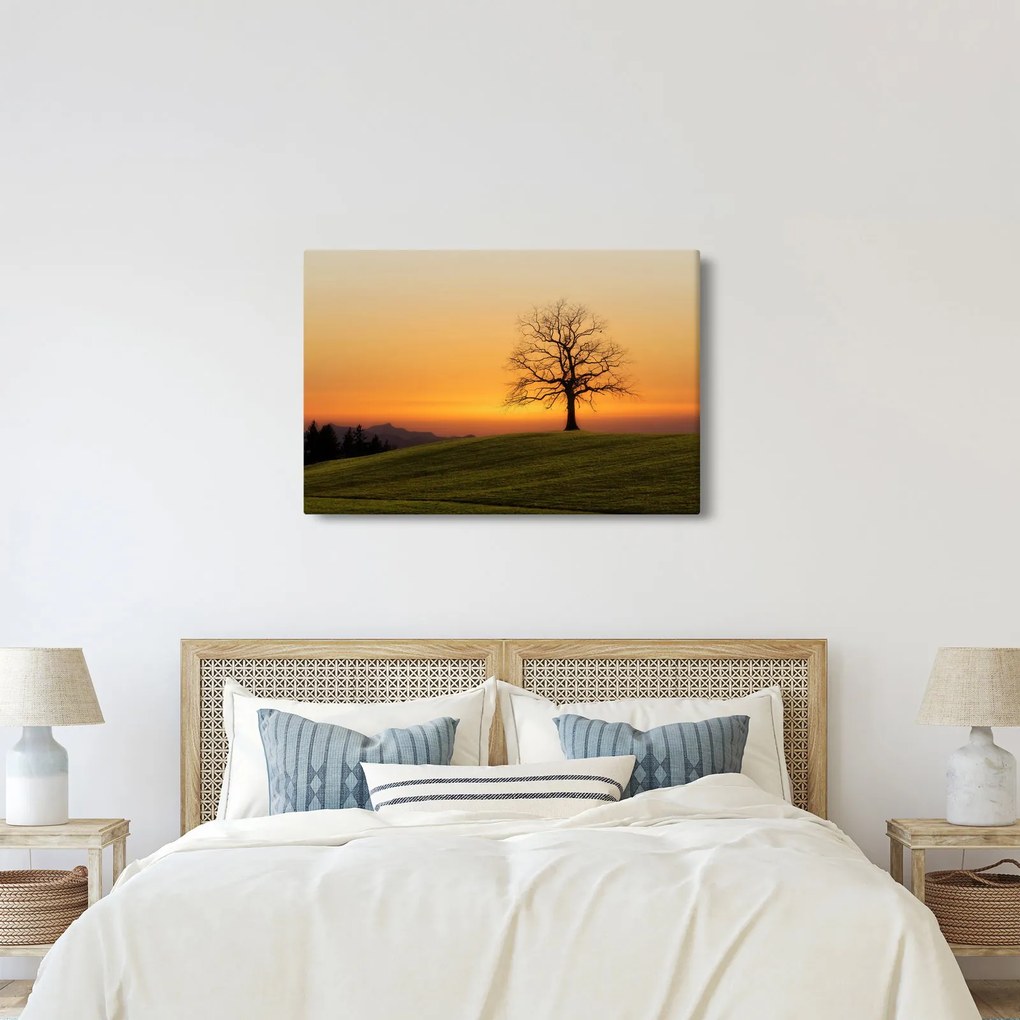 Obraz západu slnka na lúke (90x60 cm)