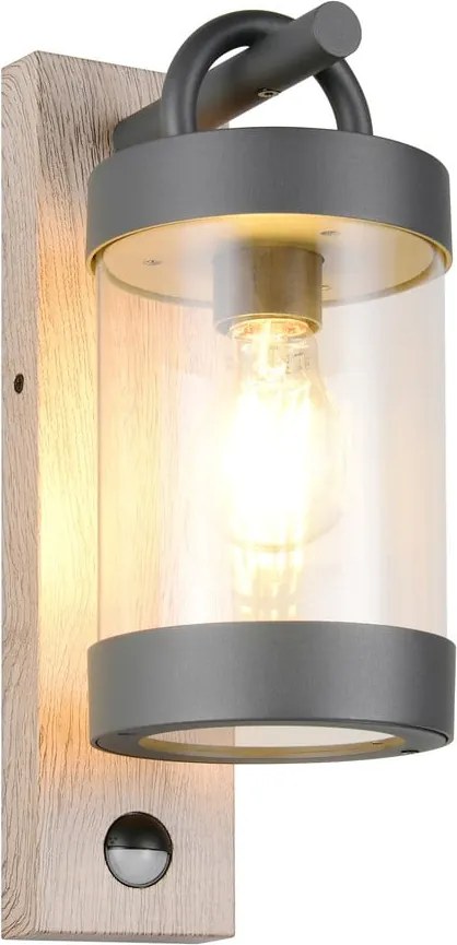 Nástenné vonkajšie svietidlo (výška 33 cm) Sambesi – Trio