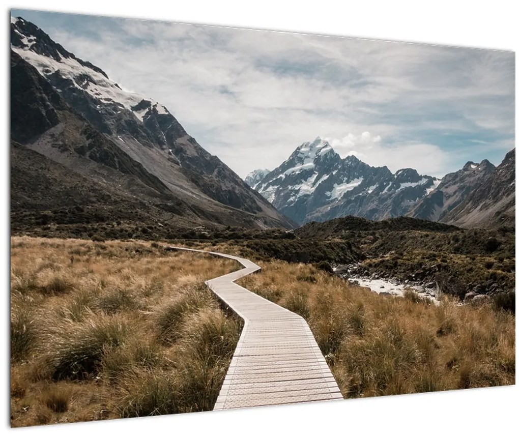 Obraz - Chodník v údolí hory Mt. Cook (90x60 cm)