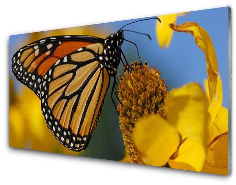 Skleneny obraz Motýľ kvet príroda 140x70cm