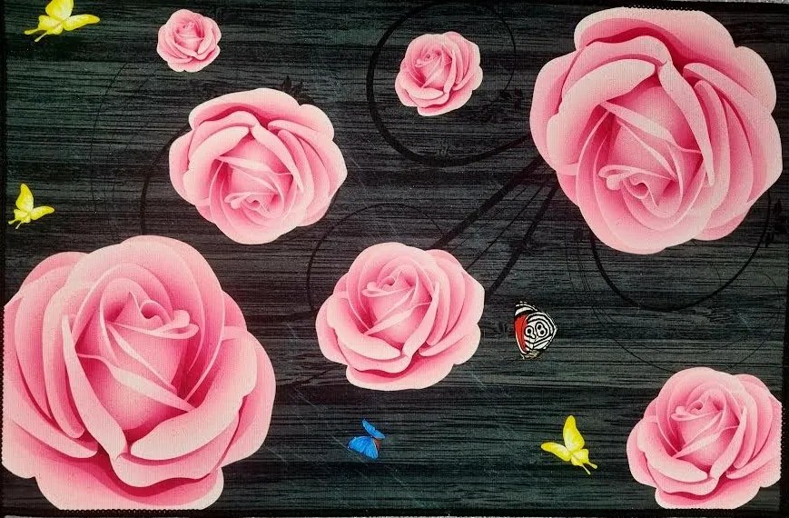 Rohožka C Polyester 40 x 60 cm
