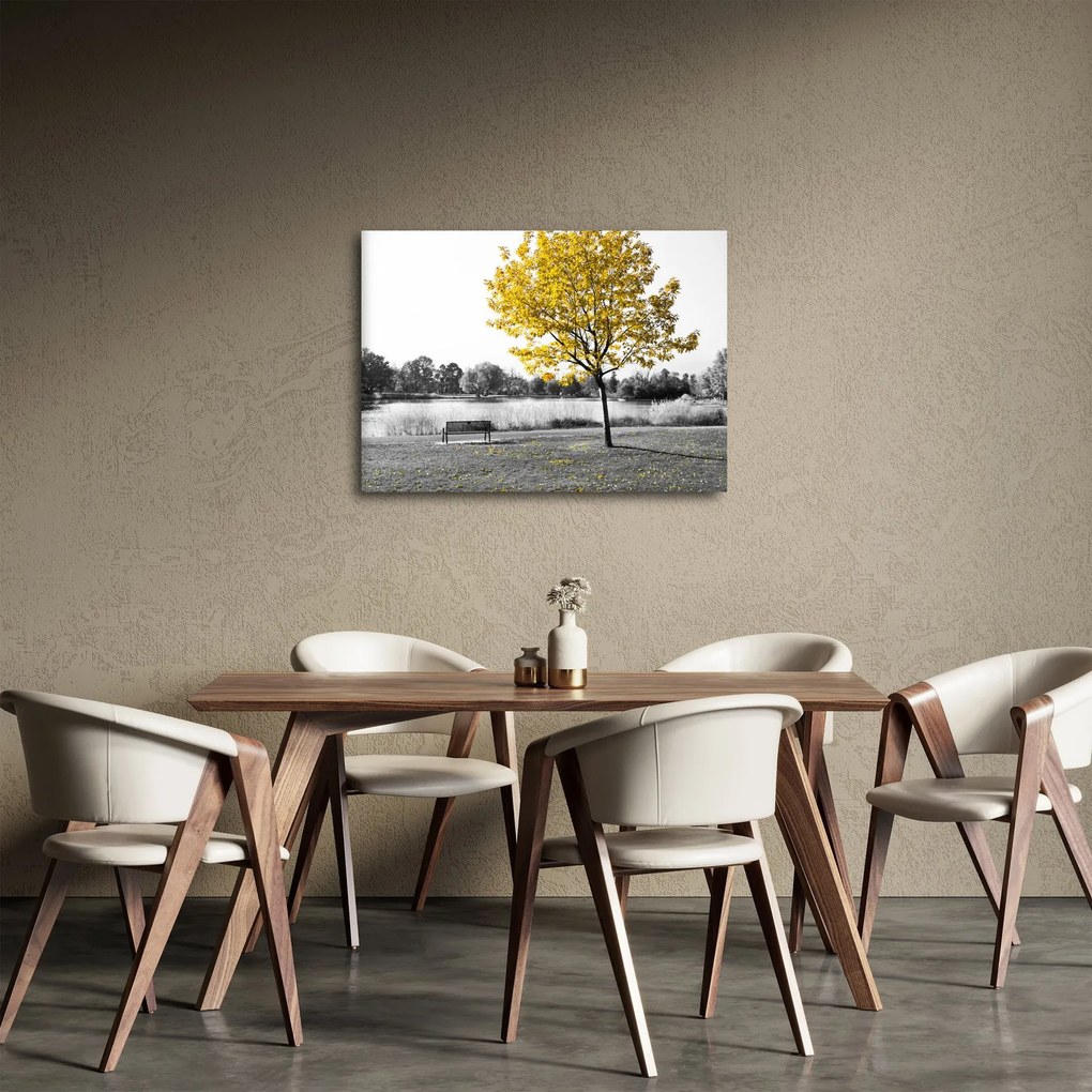 Obraz - Odpočinok v parku (70x50 cm)