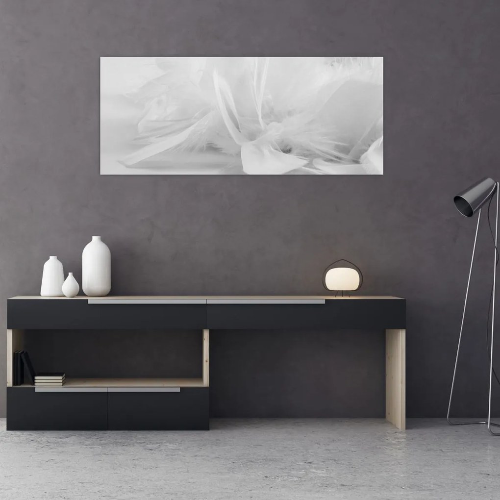 Obraz - Perie (120x50 cm)