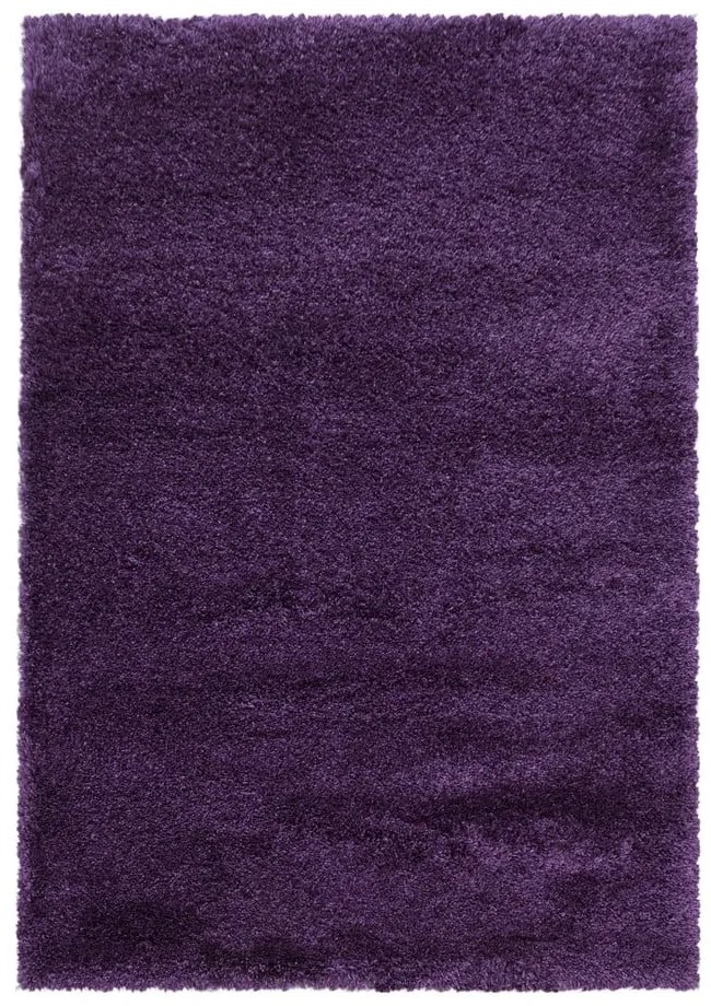 Tmavofialový koberec 160x230 cm Fluffy – Ayyildiz Carpets