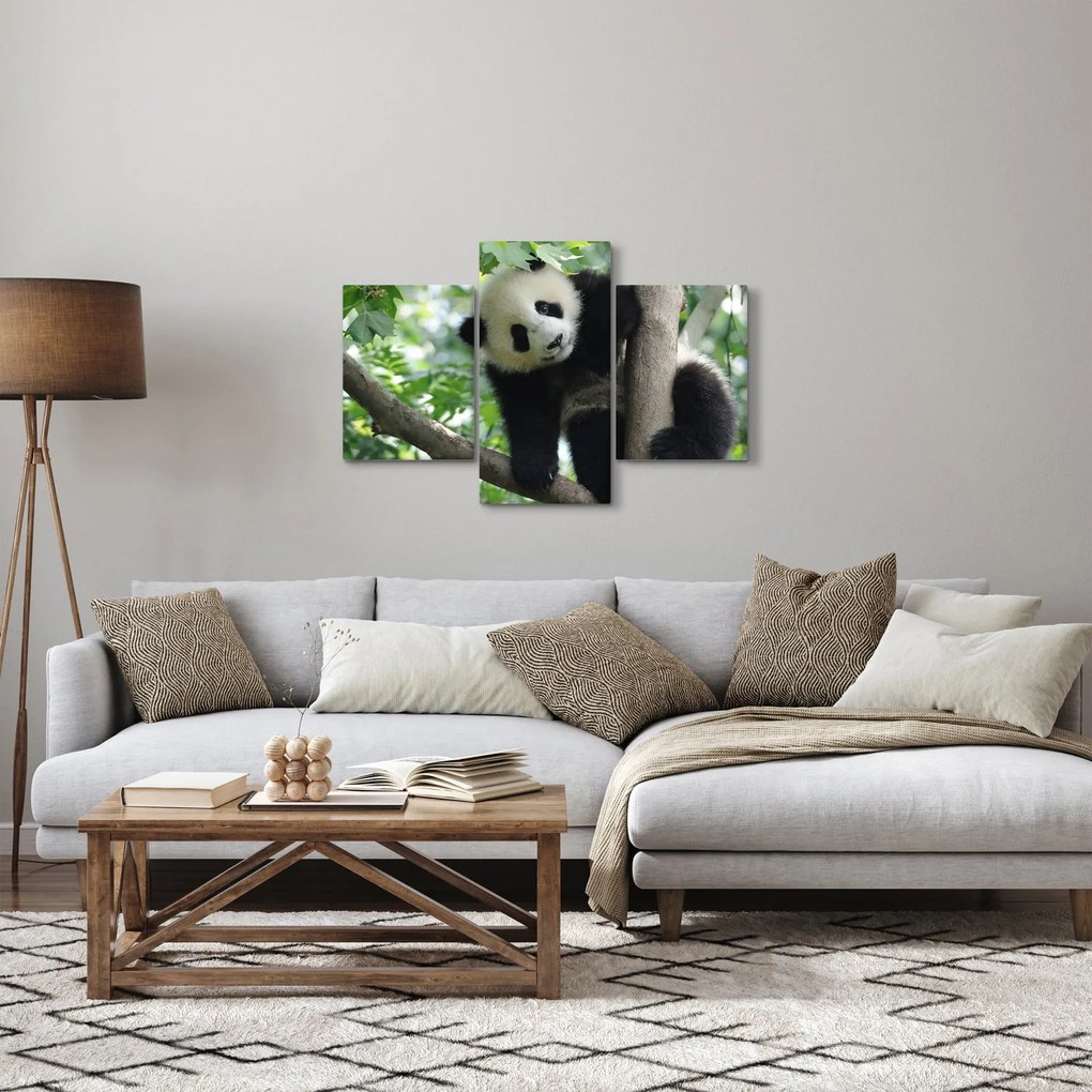 Obraz - Panda na strome (90x60 cm)